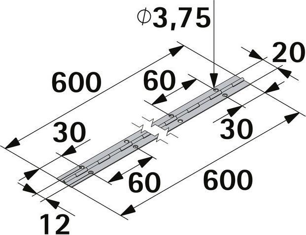 Produktbild Hettich Stangenscharnier H 600 x B 20 mm, vermessingt, 1 Stck (1 Stk.)