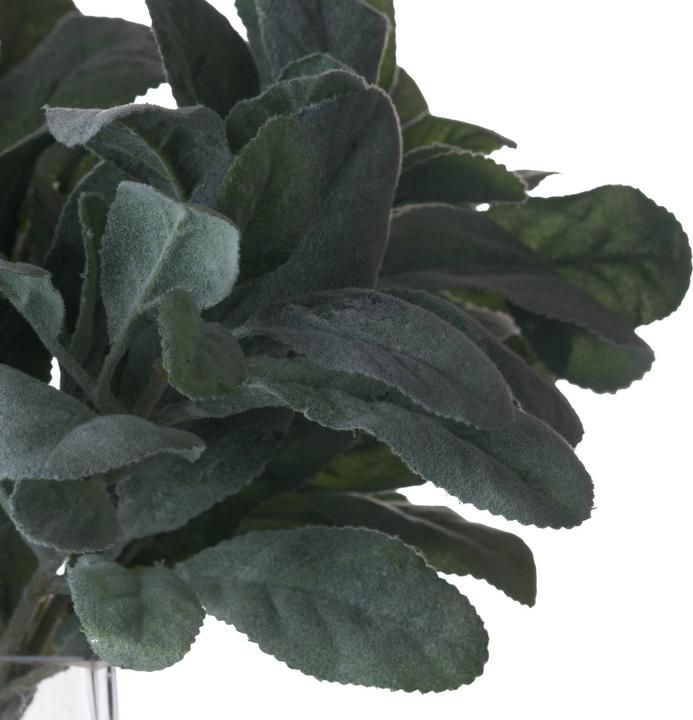 Produktbild Hill Interiors Künstliche Pflanze Lämmer Ohr (35 cm)