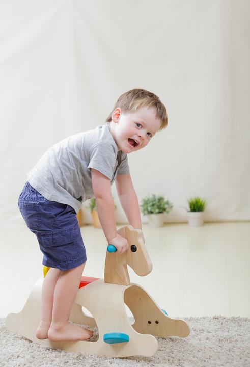 Actual product image Plantoys Rocking horse Palomino