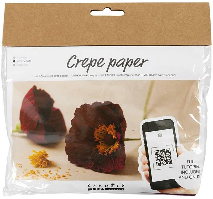 Actual product image Creativ Company Mini Craft Kit Crepe Paper (105 g/m², 1.10 x)