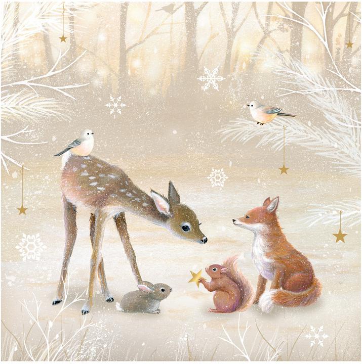 Actual product image Winter magic