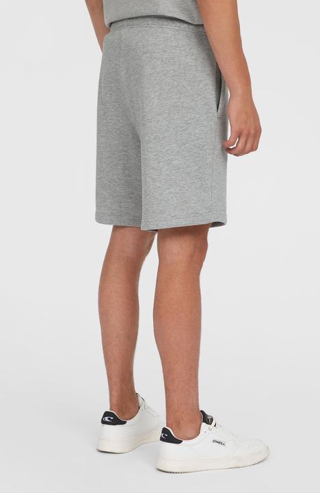 Produktbild O'Neill The Future Surf Society Shorts (XXL)