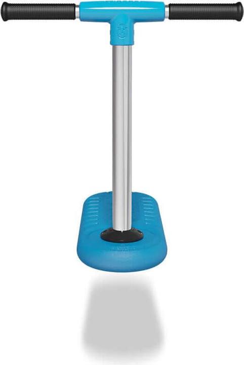 Actual product image Indo Bug