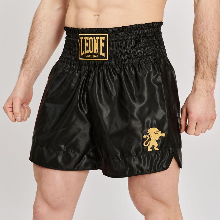 Produktbild Leone Basic 2 (L)