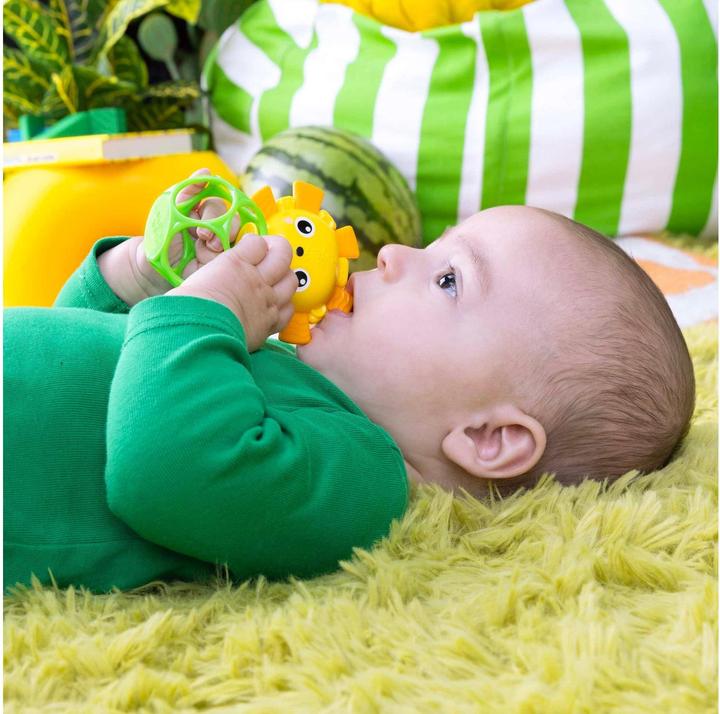 Actual product image Bright Starts Oball-Beissring