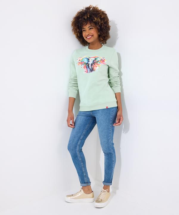 Actual product image Joe Browns Elephant Graphic Sweatshirt (40)