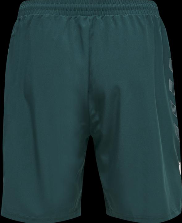 Actual product image hummel Hmlmove Grid Woven Shorts (S)