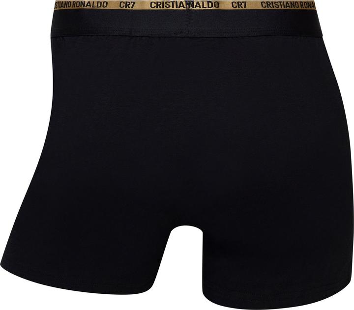 Immagine prodotto CR7 Boxershort Casual Figurbetont (S, confezione da 10)