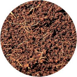 Actual product image Ugro Coco Small (0.65 kg, 11 l)