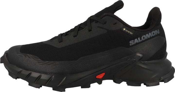 Produktbild Salomon Alphacross 5 GTX (39 1/3)