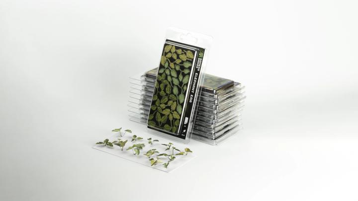 Actual product image Gamers Grass Laser Plants - Elephant Ear