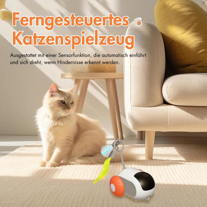 Produktbild Suba Fernbedienung Katzenspielzeug