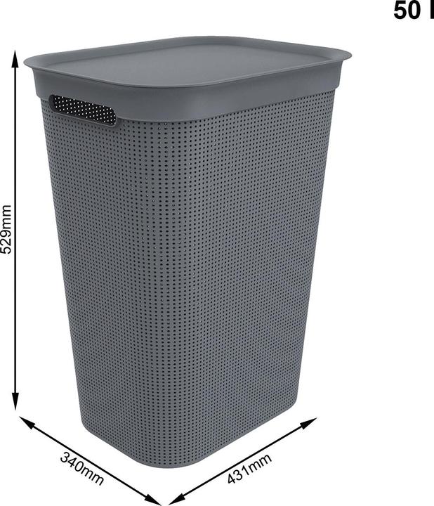 Immagine prodotto Rotho Breezes 1 (50 l)