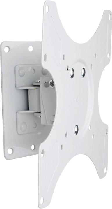 Techly Tiltable Wall Support (Wand, 37", 25 kg)