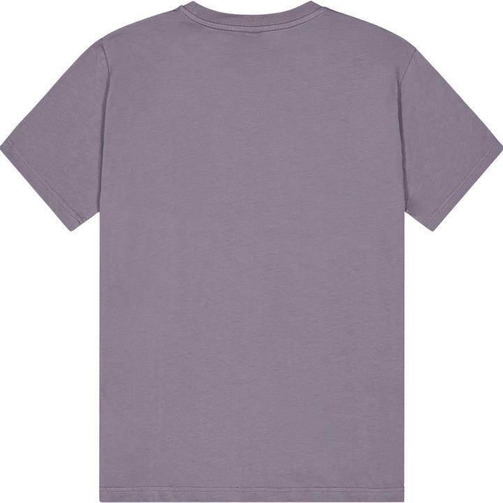 Actual product image Picture Basement Aster (M)