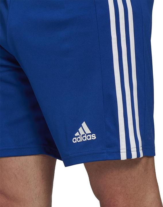 Actual product image adidas Squadra 21 Short (XL)