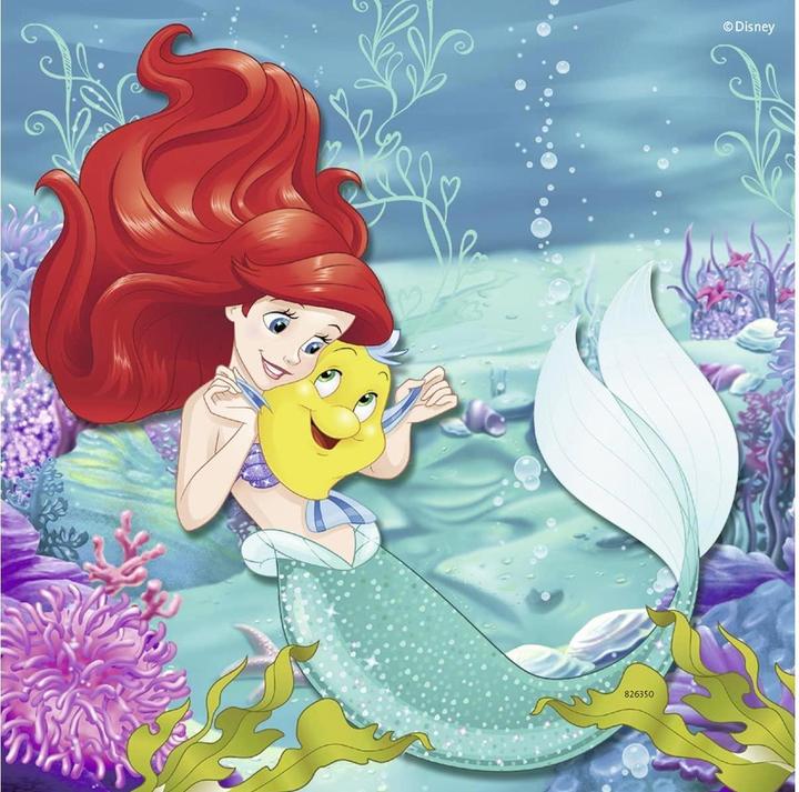 Actual product image Ravensburger Adventures of the Princesses (49 pieces)