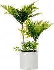 Produktbild Ibergarden grosser Zementtopf grüne Palme