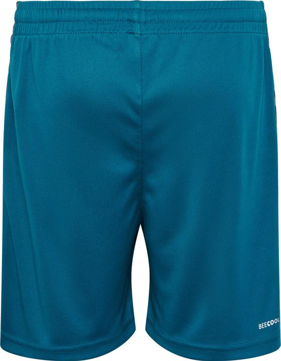 Image du produit hummel Hmlauthentic Pl Shorts Kids (164)