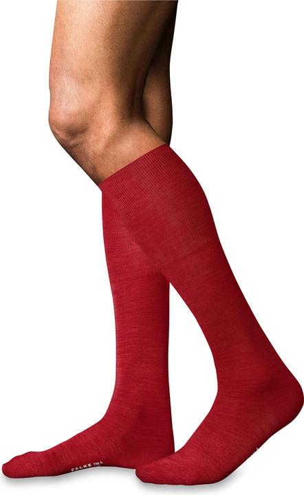 Immagine prodotto Falke No. 6 KH (39 - 40)