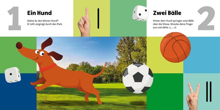 Produktbild Mein Memo-Buch Zählen und Spielen (Deutsch)