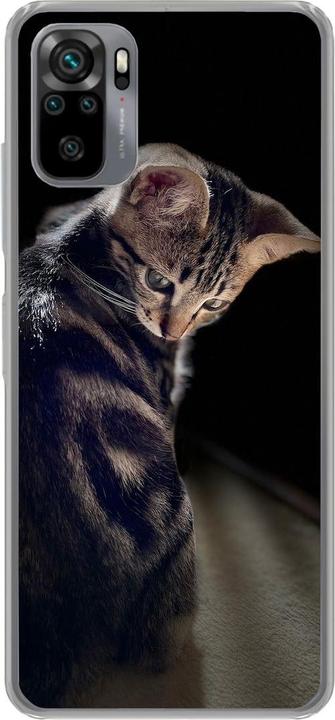 Young cat