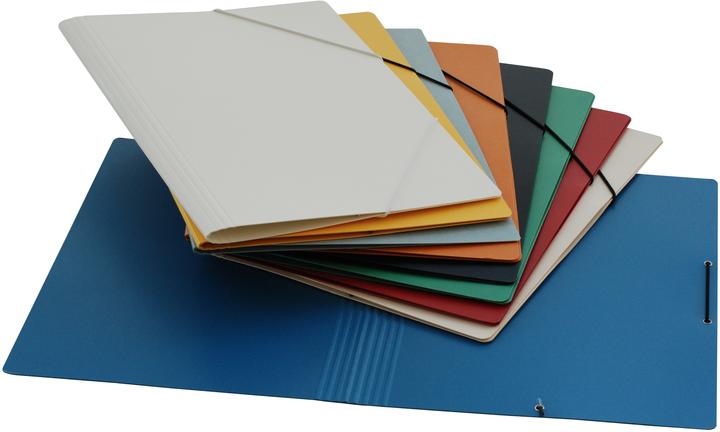 Produktbild Erola Pendenzenmappe A4 sortiert ohne Klappen (A4, 5 x)