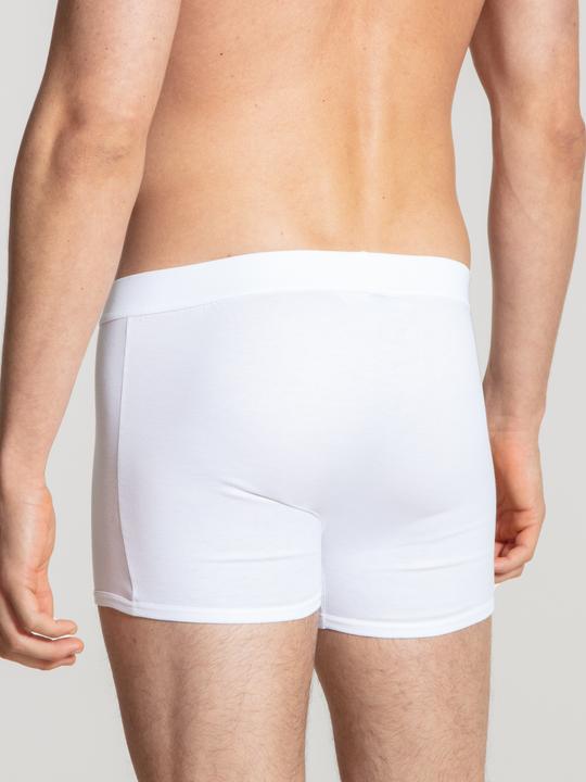 Immagine prodotto Calida Cotone autentico (XXL)