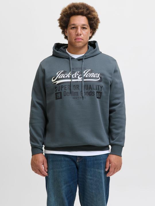 Immagine prodotto Jack & Jones JJELOGO SWEAT HOOD 2 COL 24/25 NOOS PLS (4XL)