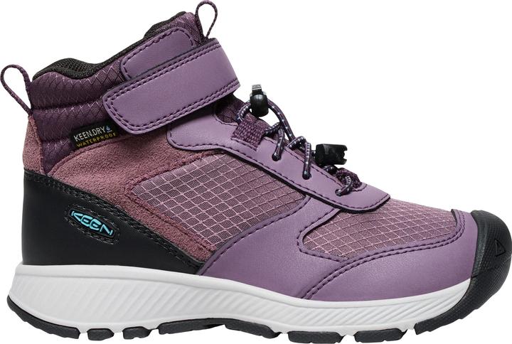 Plum Perfect, Black Plum