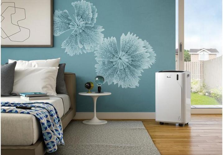 Immagine prodotto De'Longhi Pinguino PAC EM90 (20 m², 10400 BTU/h)