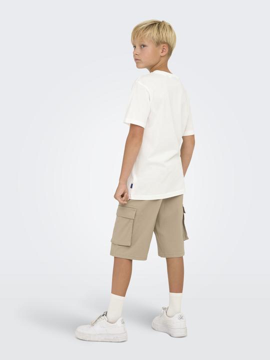 Actual product image Only & Sons Junior Osjlenny Life Reg Vintage Tee Jrs Noos (158, 164)