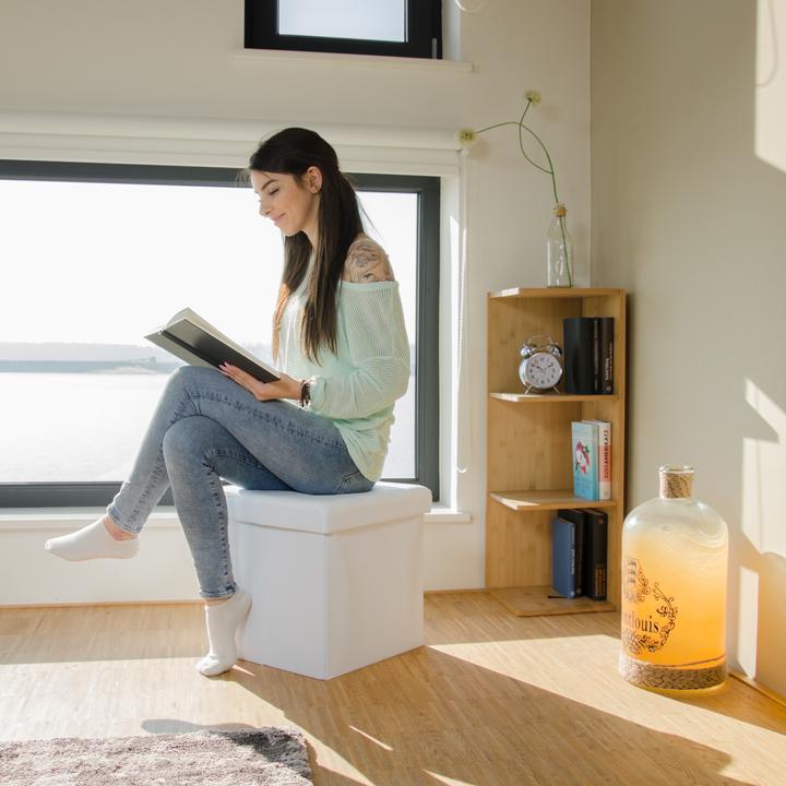 Image du produit Relaxdays Tabouret pliant rangement lin