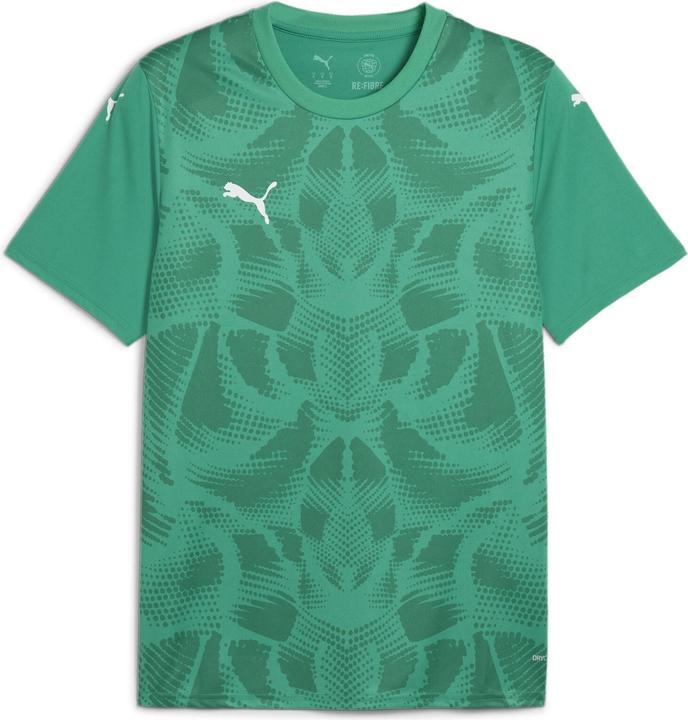 Puma teamULTIMATE Jersey