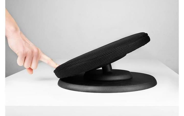 Actual product image Swedish Posture Posture Balance Core