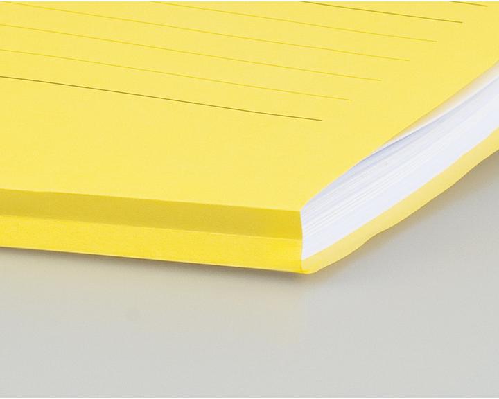 Actual product image Elco Viewing cover Ordo volumino (A4, 100 x)