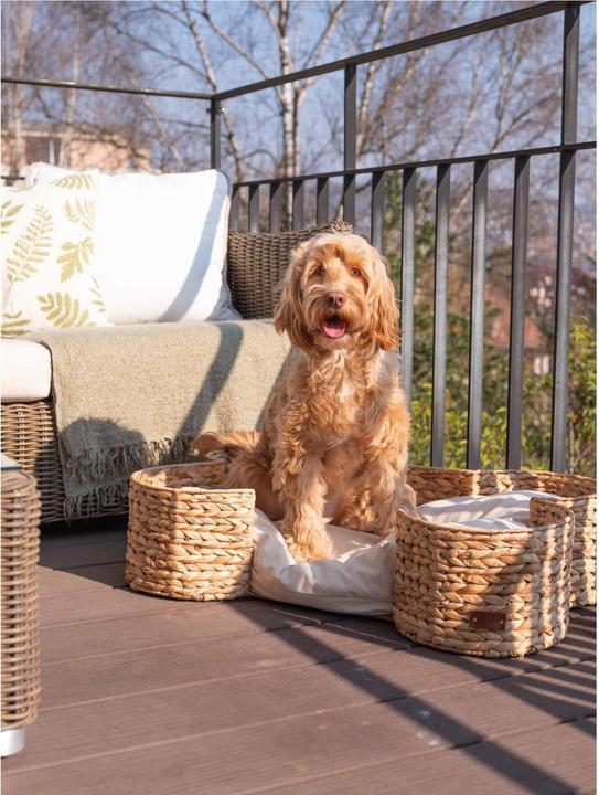 Image du produit Pet & Co. Lit pour chien Bongo Nature (Chien)