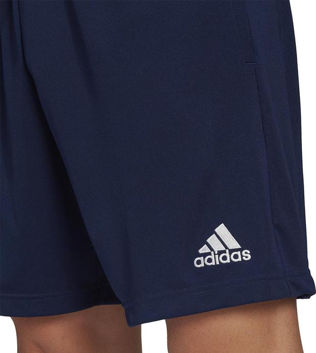 Actual product image adidas Entrada 22 training shorts men (L)