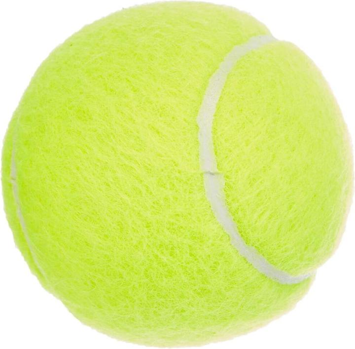 Produktbild Dunlop Fort All Court