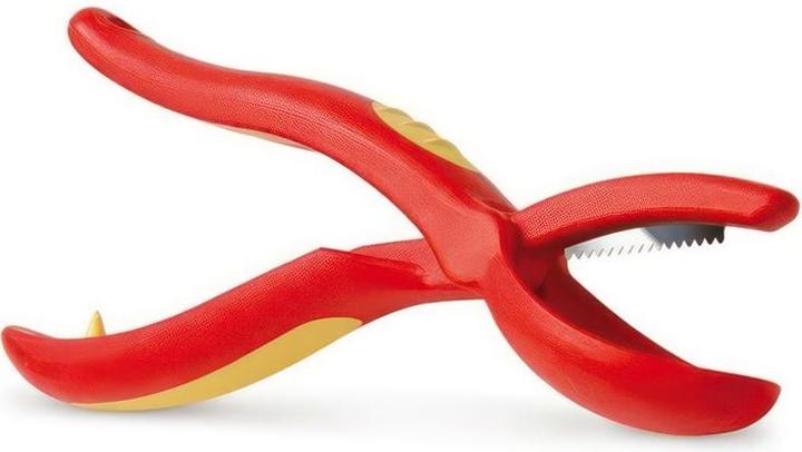 Snips Coupeuse de châtaignes