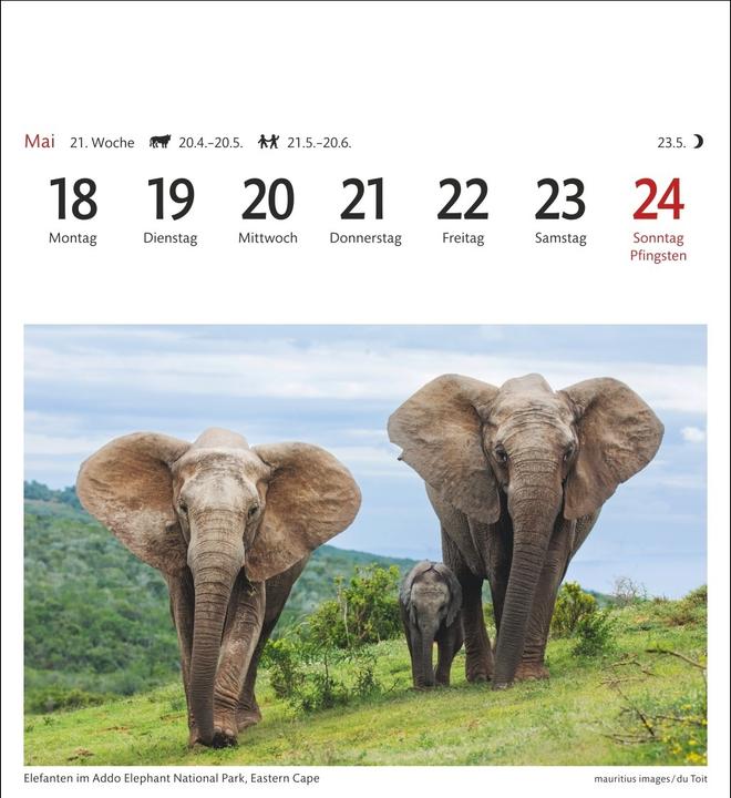 Produktbild Harenberg Südafrika & Namibia Sehnsuchtskalender 2026 - Wochenkalender mit 53 Postkarten (Harter Einband, Deutsch)