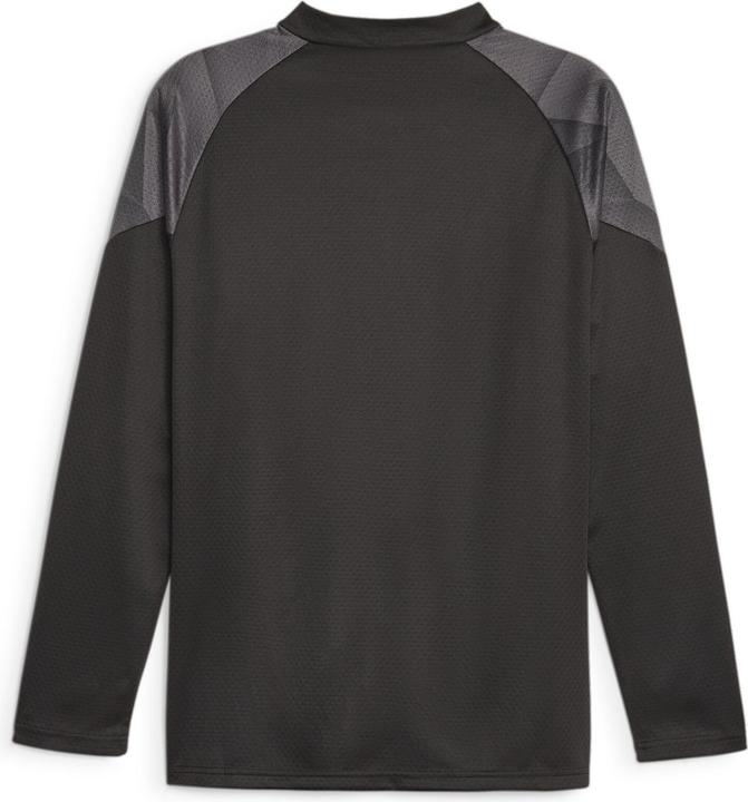 Actual product image Puma BVB Training 1/4 Zip Top w/ sponsor (XL)