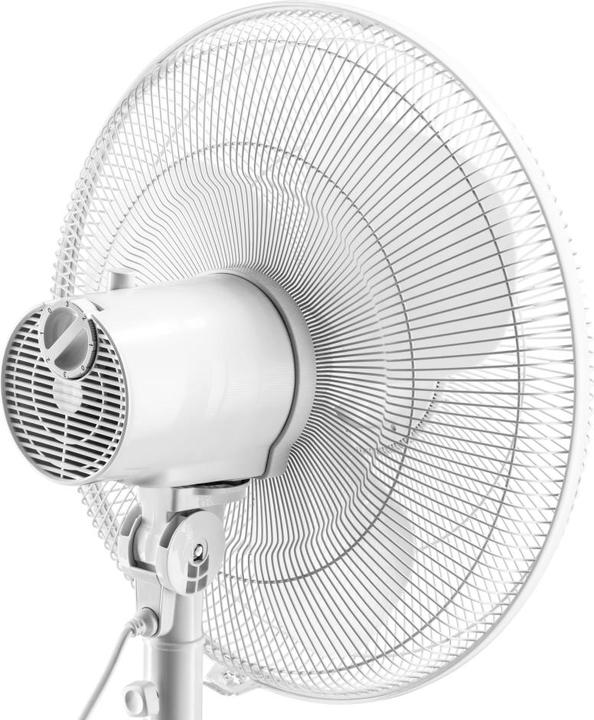 Actual product image Trotec Designer Pedestal Fan TVE 23 S (60 dB)