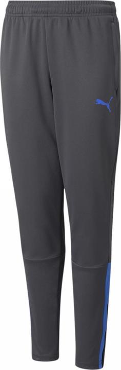 Produktbild Puma teamLIGA Training Pants Jr-657243 (140)