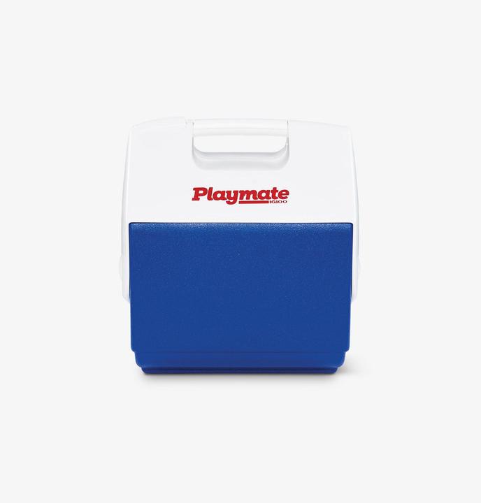 Image du produit Igloo petite boîte à glace pour moniteur (6 l)