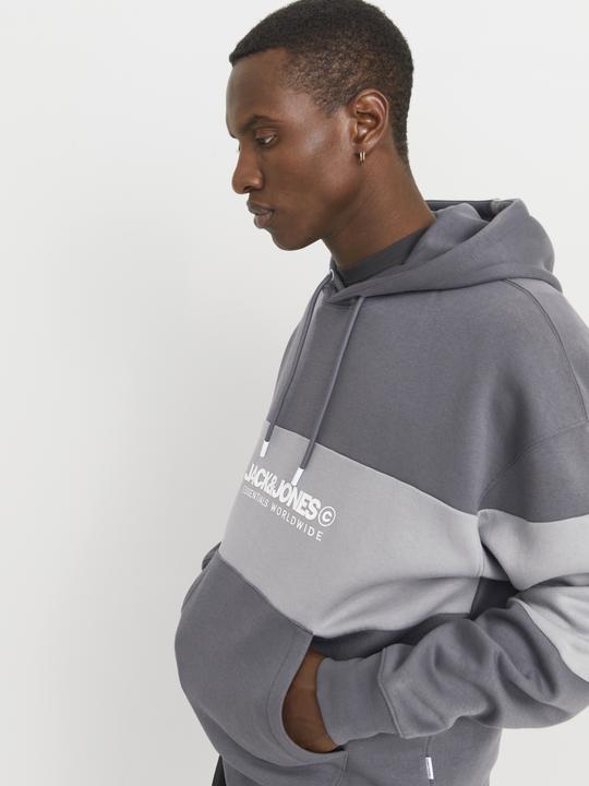 Actual product image Jack & Jones Jjelegacy Blocking Sweat Hood Noos (XS)
