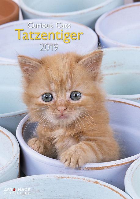 Image du produit Tatzentiger 2019 Calendrier mural (Allemand, Anglais)