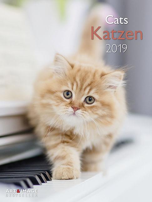 Immagine prodotto Calendario poster Gatti 2019 (Tedesco, Inglese)