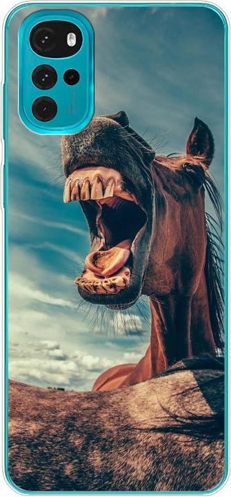 Funny horse