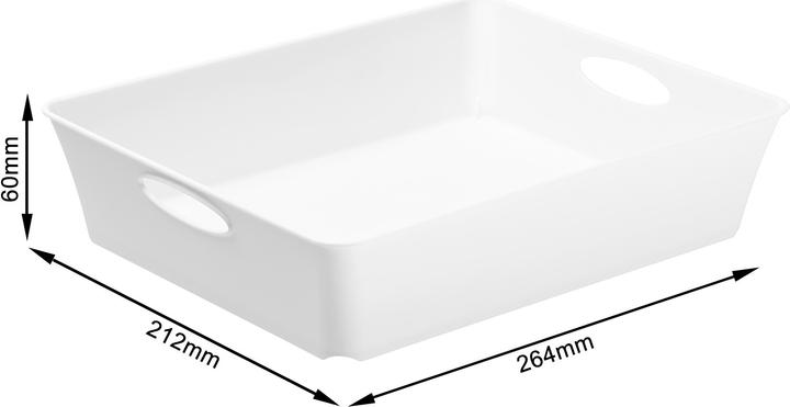 Immagine prodotto Rotho Scatola vivente (21,5 x 6 x 21,5 cm, 0 l)
